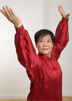 Professorin Liu Ya Fei